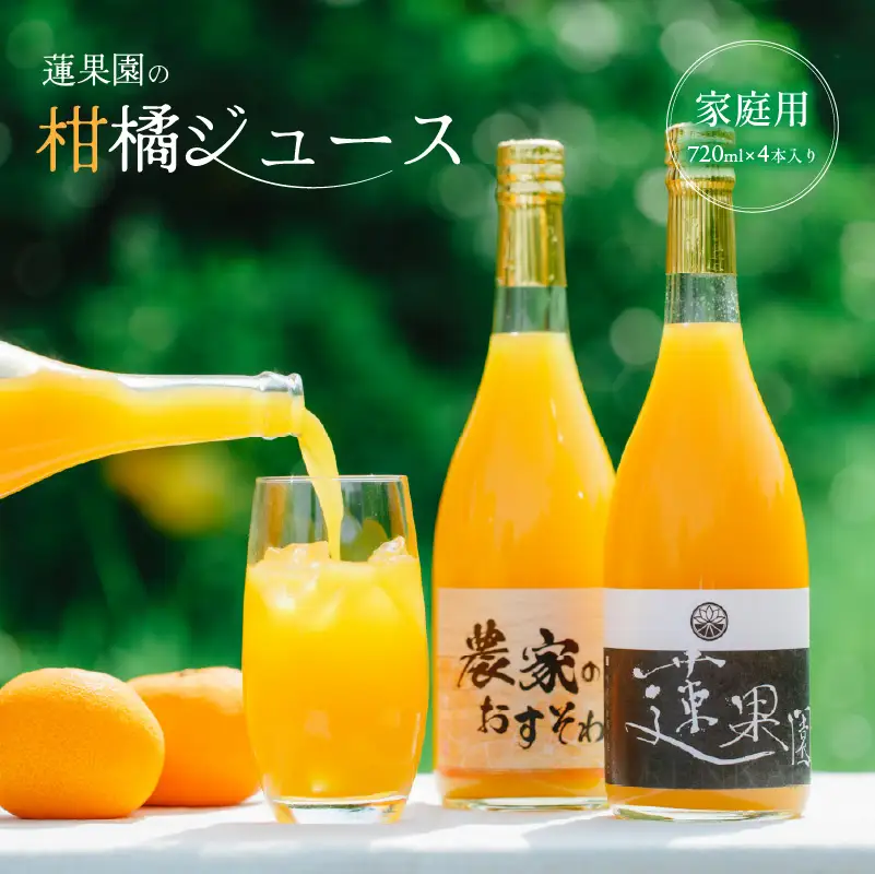 【ジュース】100％ 柑橘 ジュース 4本 家庭用 みかんジュース  【RNK018】