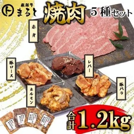 【飛騨牛】焼肉5種セット　赤身焼肉＆味付け牛ホルモンなど　合計1.2kg【配送不可地域：離島】【1616701】