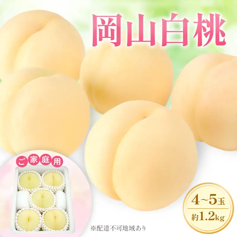 もも 2027年 先行予約 【ご家庭用】 岡山白桃 エース 4～5玉 約1.2kg  (6月下旬～7月下旬出荷予定)