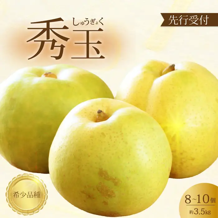 【先行受付】希少品種！秀玉 梨 3.5kg 2026年9月中旬発送予定 果物 くだもの フルーツ なし 202016