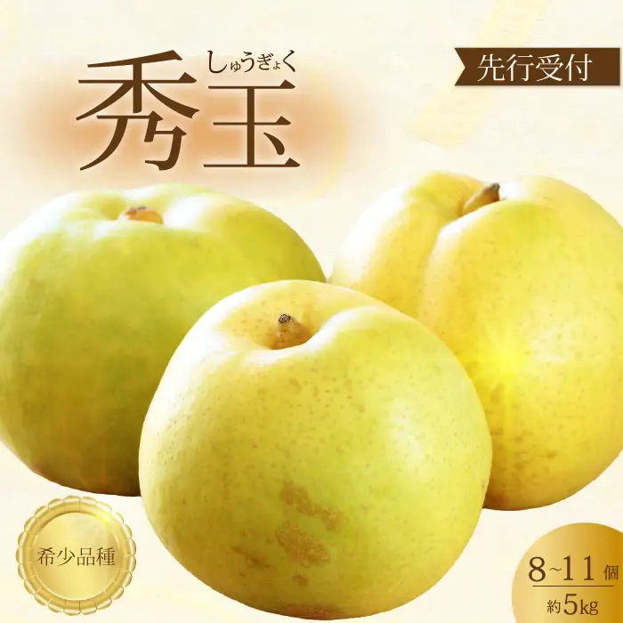 【先行受付】希少品種！秀玉 梨 5kg 2026年9月中旬発送予定 果物 くだもの フルーツ なし 202017