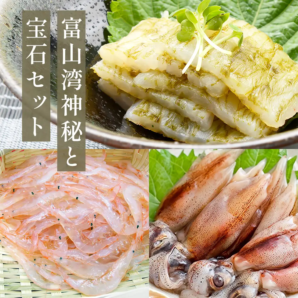富山湾の神秘”ほたるいか”と富山湾の宝石”白エビ”セット〈冷凍〉