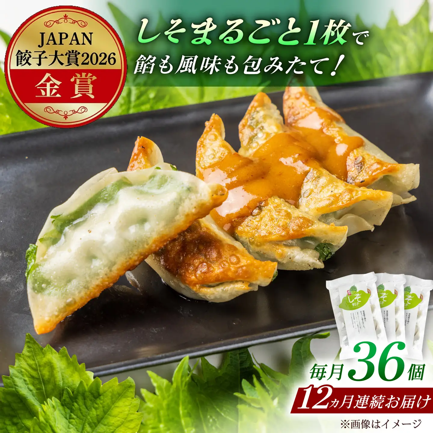 【全12回定期便】【3パック】餃子屋ヒロの 人気のしそ餃子 ぎょうざ[BDAS012]