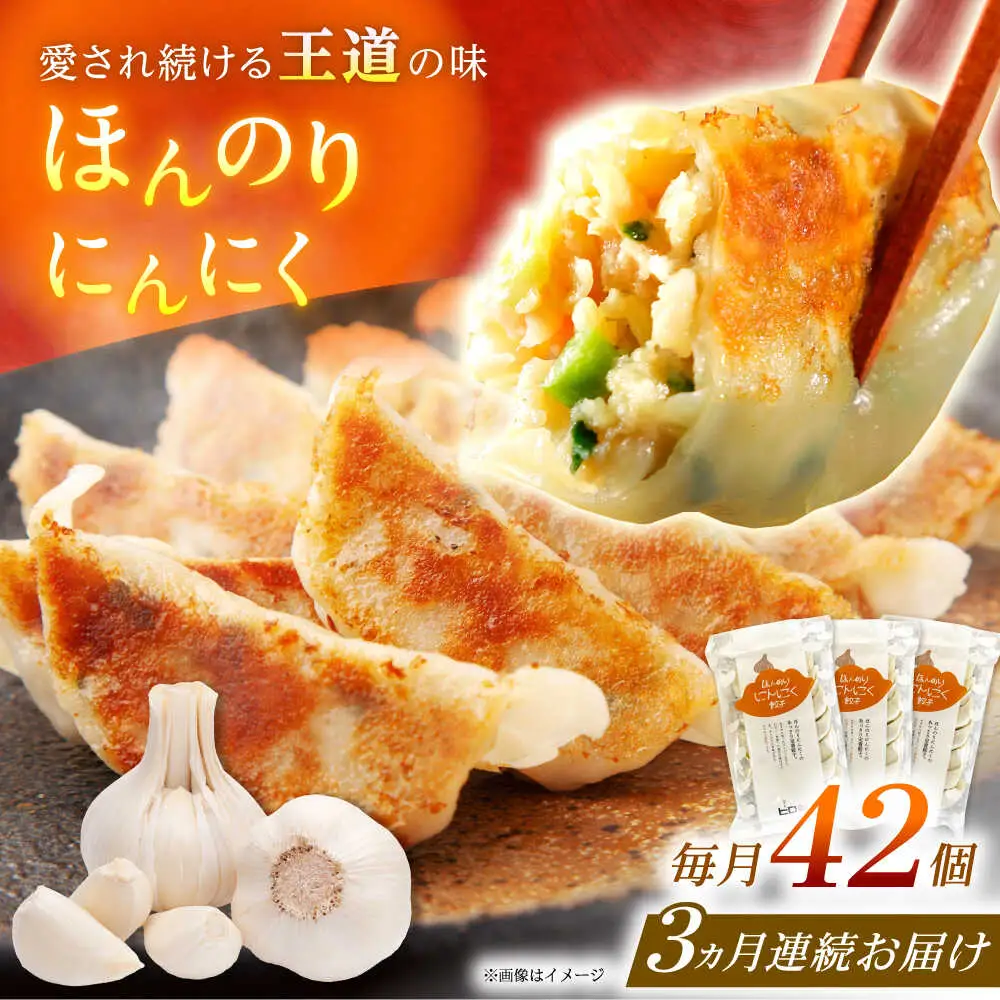 【全3回定期便】【3パック】餃子屋ヒロの ほんのりにんにく餃子 ぎょうざ[BDAS013]