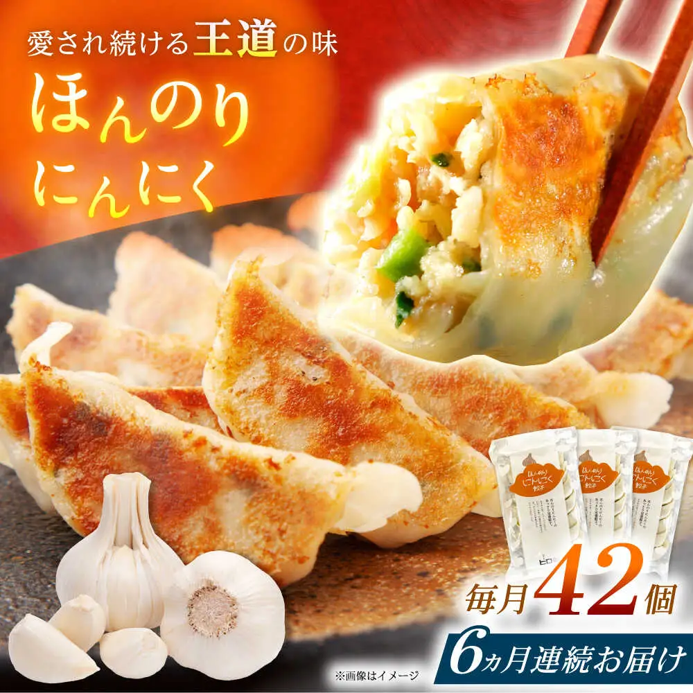 【全6回定期便】【3パック】餃子屋ヒロの ほんのりにんにく餃子 ぎょうざ[BDAS014]