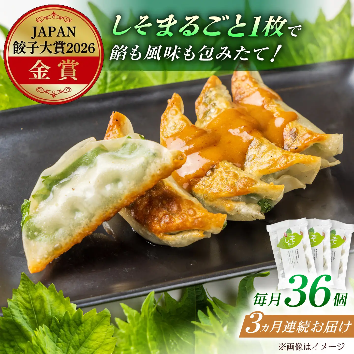 【全3回定期便】【3パック】餃子屋ヒロの 人気のしそ餃子 ぎょうざ[BDAS010]