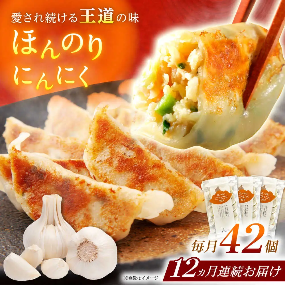 【全12回定期便】【3パック】餃子屋ヒロの ほんのりにんにく餃子 ぎょうざ[BDAS015]