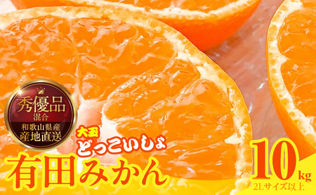 【2026年先行予約】みかん 大玉 どっこいしょ 箱込 10kg ( 内容量 9.2kg ) 2Lサイズ以上 秀品 優品 混合 有田みかん 和歌山県産 産地直送 【みかんの会】_MK1034
