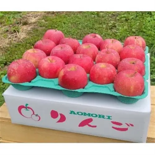 【訳あり】青森県産りんご「早生ふじ 家庭用」約5kg　産地直送!_果物・フルーツ りんご  リンゴ 林檎_【配送不可地域：離島】【1513094】