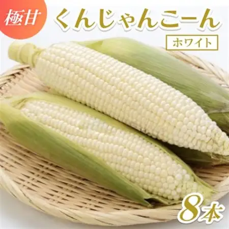 【2027年4月上旬から順次発送】春獲れ一番!極甘くんじゃんこーん ホワイト 8本 とうもろこし【配送不可地域：離島】【1578629】