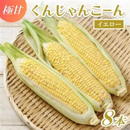 【2027年4月上旬から順次発送】春獲れ一番!極甘くんじゃんこーん 8本 とうもろこし【配送不可地域：離島】【1578836】