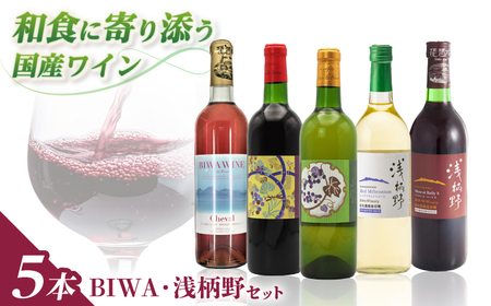 ワイン BIWA浅柄野セット BIAC011 ワイン