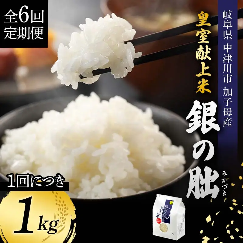 ＜テレビで紹介されました！＞令和8年産 新米【全6回定期便】皇室献上米『銀の朏』1kg 中津川市加子母産 栽培期間中化学肥料不使用 お米 精米 F4N-2886