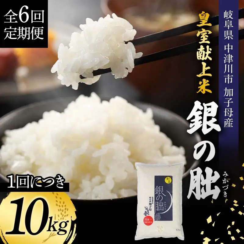 ＜テレビで紹介されました！＞令和8年産 新米【全6回定期便】皇室献上米『銀の朏』10kg 中津川市加子母産 栽培期間中化学肥料不使用 お米 精米 F4N-2894