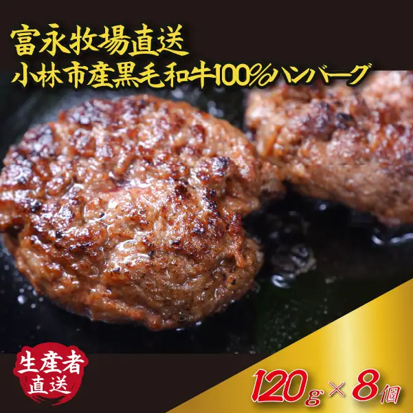 ハンバーグ 牛肉 120g×8個 100% ハンバーグ 