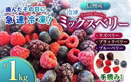 ベリー ミックス 信州 伊那産 冷凍 ミックスベリー 1kg 国産 ベリー 3種 ：ラズベリー ・ ブラックベリー ・ ブルーベリー