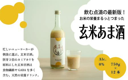 甘酒 幻の玄米 自然栽培 カミアカリ 玄米甘酒 750g 12本 【067-03】