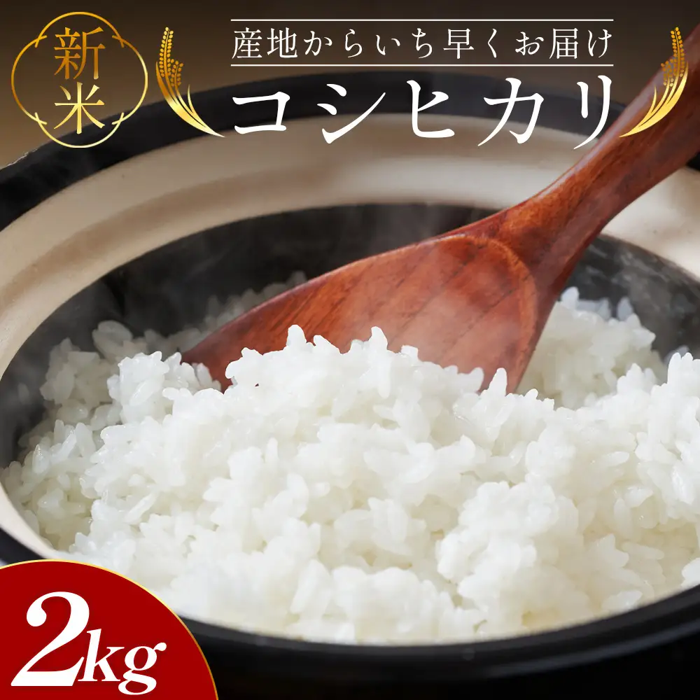 コシヒカリ 2kg 令和8年産新米 新米 コシヒカリ 精米 at-0055