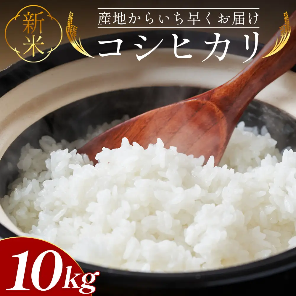 令和8年産 新米 コシヒカリ 10kg コシヒカリ at-0057