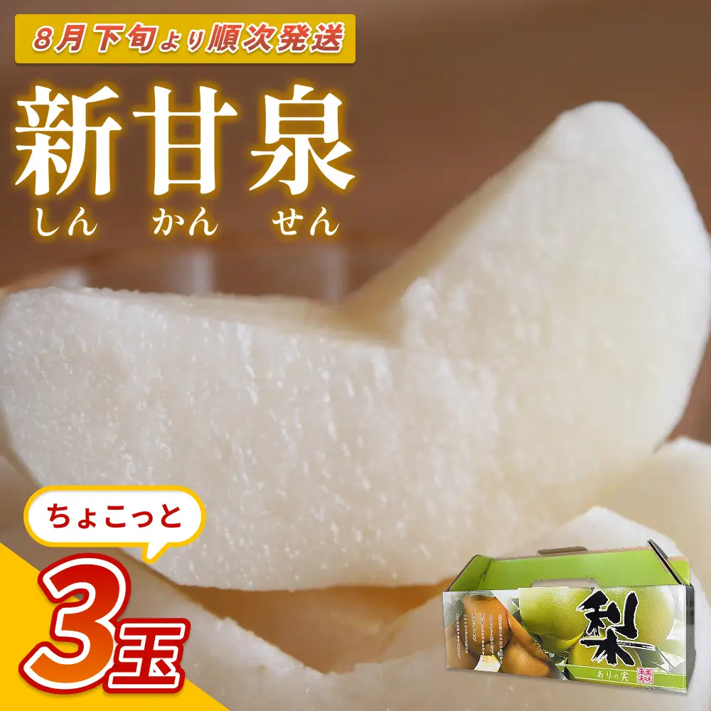【先行予約】中野農園 梨 ”新甘泉” 3玉入り｜鳥取 岩美 梨 なし ナシ※お届けは2026年8月下旬以降【41019】