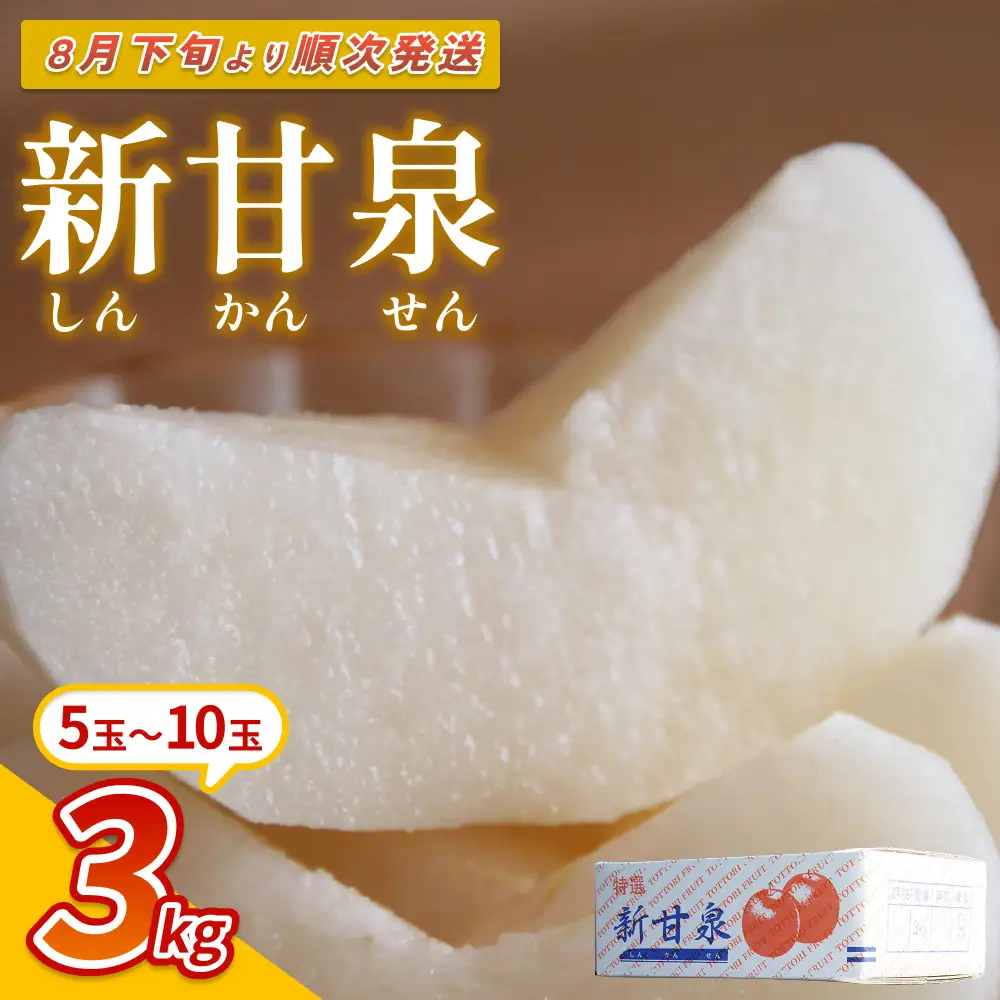 【先行予約】中野農園 梨 ”新甘泉” 3kg箱｜鳥取 岩美 梨 なし ナシ※お届けは2026年8月下旬以降【41020】