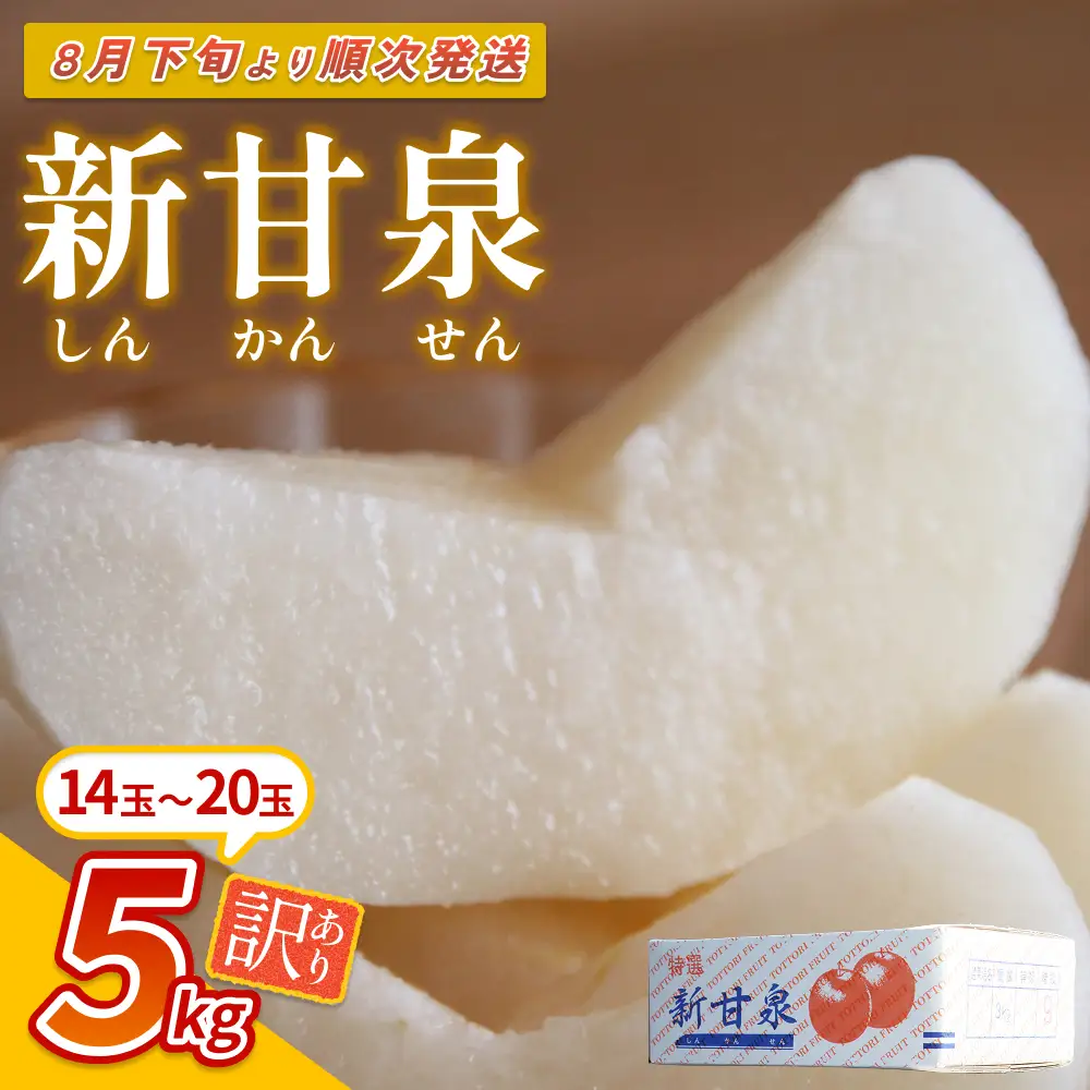 【先行予約】（訳あり）中野農園 梨 ”新甘泉” 5kg箱｜鳥取 岩美 梨 なし ナシ※お届けは2026年8月下旬以降【41022】