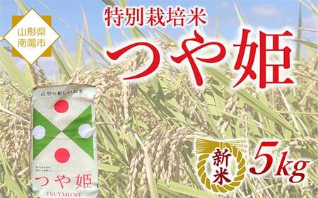 【令和8年産 新米 先行予約】 特別栽培米 つや姫 5kg 《令和8年10月中旬～発送》 『松田観光果樹園』 山形南陽産 米 白米 ご飯 農家直送 山形県 南陽市 [2288-R8]