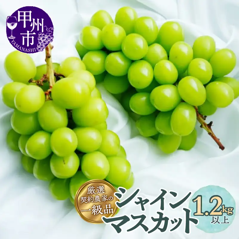 厳選契約農家の一級品 シャインマスカット1.2kg以上 2～3房【2027年発送】（SFL）B12-430　シャインマスカット フルーツ