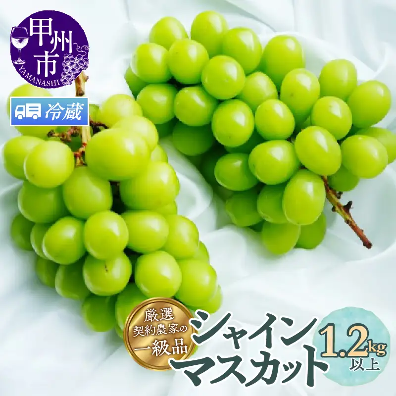 【クール配送】厳選契約農家の一級品 シャインマスカット 1.2kg以上 2～3房【2027年発送】（SFL）B12-430CO シャインマスカット フルーツ