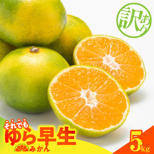 【2026先行予約】訳あり ゆら早生 みかん 箱込 5kg ( 内容量 4.4kg ) サイズミックス 有田みかん 和歌山県産_MK1068