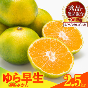 【2026先行予約】ゆら早生 みかん 箱込 2.5kg ( 内容量 2.3kg ) S M Lサイズのいずれか 秀品 優品 混合 有田みかん 和歌山県産_MK1057