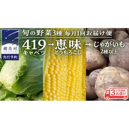 【 2025年 7月 発送開始 】 《3か月定期便》旬の野菜3種 419キャベツ 恵味トウモロコシ じゃがいも きゃべつ 嬬恋村産キャベツ 羽生田売店 幻のキャベツ419 [AL018tu]