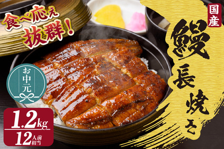 【お中元用】国産特大うなぎ長焼き６尾(約２００ｇ)　合計約１，２００ｇ（3540）