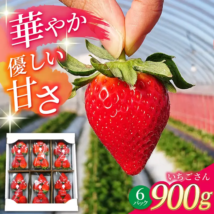  いちごさん 150g×6パック いちご IAK016