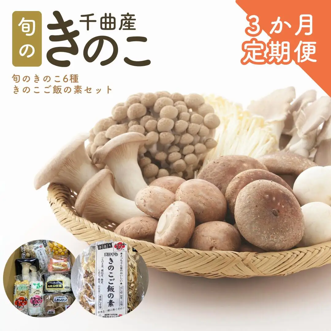 【定期便3ヶ月】旬のきのこ6種+きのこご飯の素セット｜ きのこ きのこ きのこ きのこ きのこ