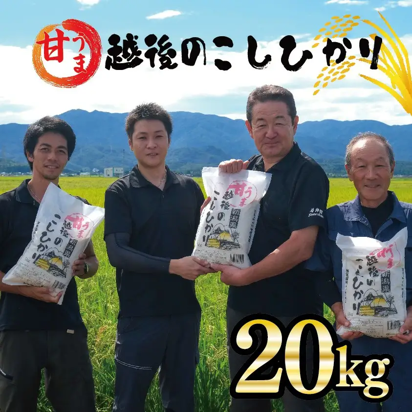 新潟産 コシヒカリ 20kg 令和7年産 甘うま越後のこしひかり コシヒカリ 白米 toushin034_02