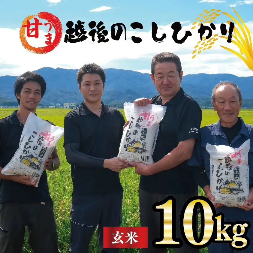 新潟産 コシヒカリ 玄米 10kg 令和7年産 甘うま越後のこしひかり コシヒカリ 玄米 toushin032_02
