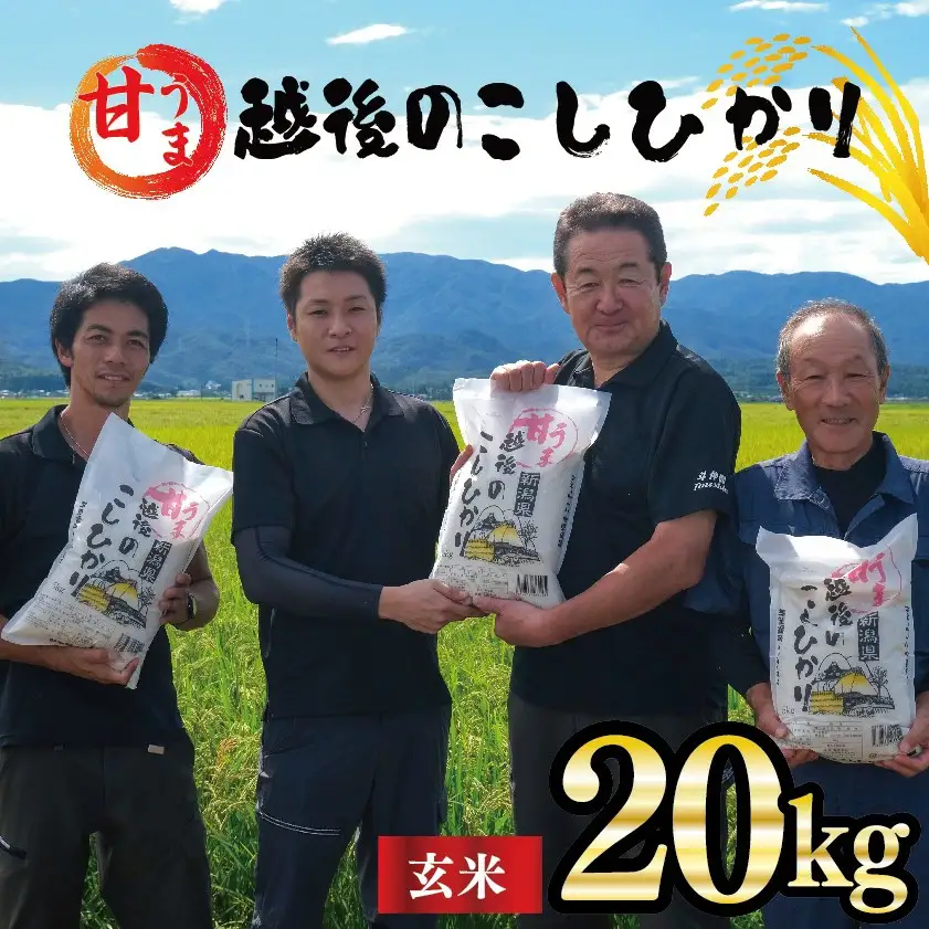 新潟産 コシヒカリ 玄米 20kg 令和7年産 甘うま越後のこしひかり コシヒカリ 玄米 toushin035_02