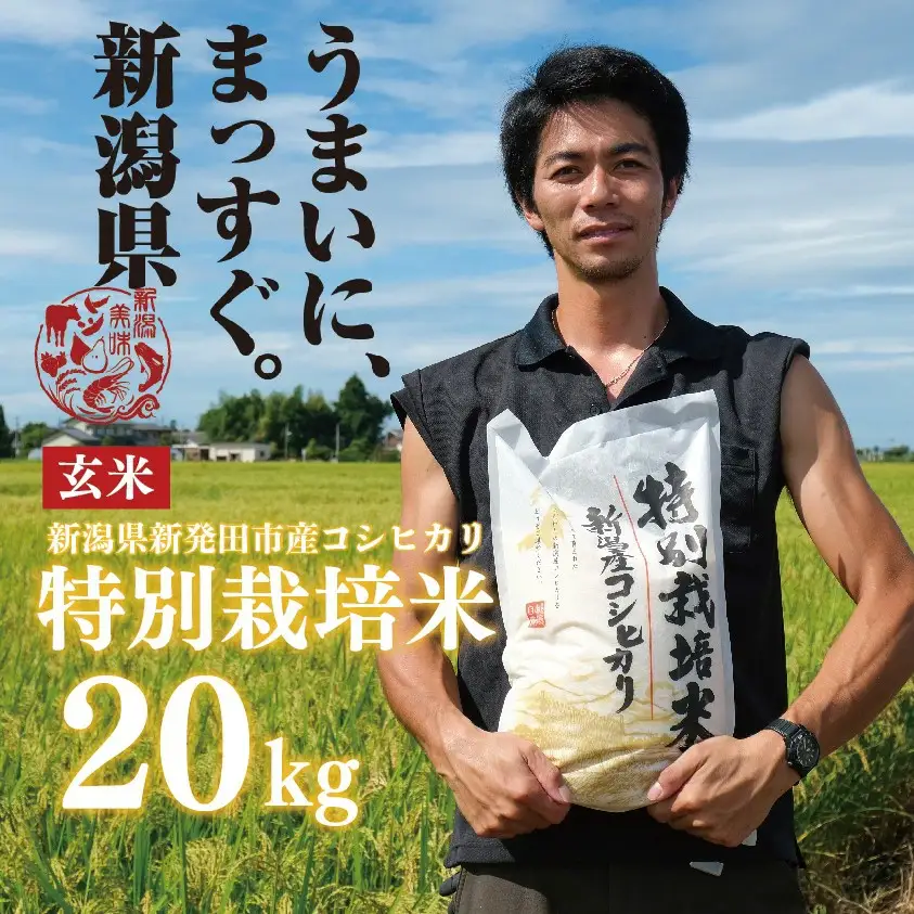 新潟産 特別栽培米 コシヒカリ 玄米 20kg 令和7年産 コシヒカリ 玄米 toushin026_02