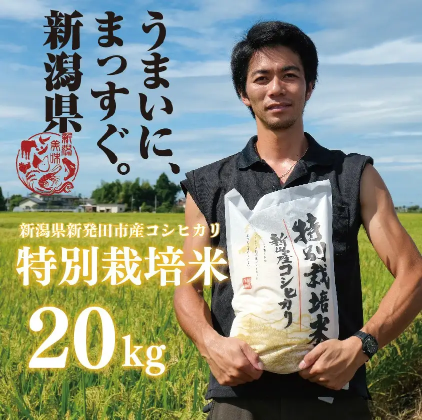 新潟産 特別栽培米 コシヒカリ 玄米 20kg 令和7年産 コシヒカリ toushin027_02