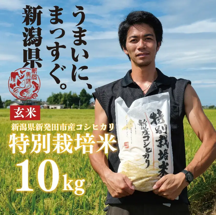 新潟産 特別栽培米 コシヒカリ 玄米 10kg 令和7年産 玄米 toushin029_02