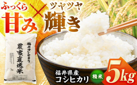 【令和7年産】福井県産 こしひかり 精米 5kg（ビニール袋） 小浜市 / シマダ農園 [BFAV001]