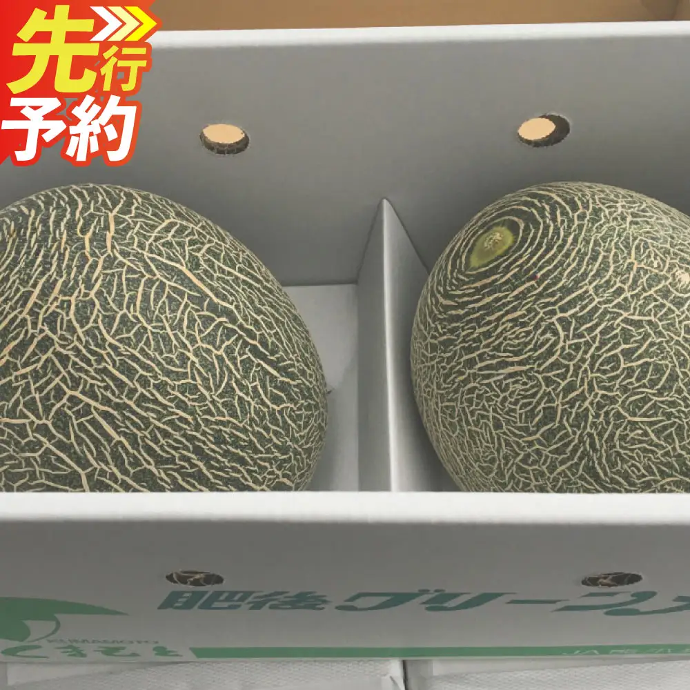 ＜ R8年熊本地震復興支援 ＞熊本特産！肥後グリーンメロン 2玉入り メロン 特産 果物 フルーツ 【2027年5月下旬～6月下旬発送予定】