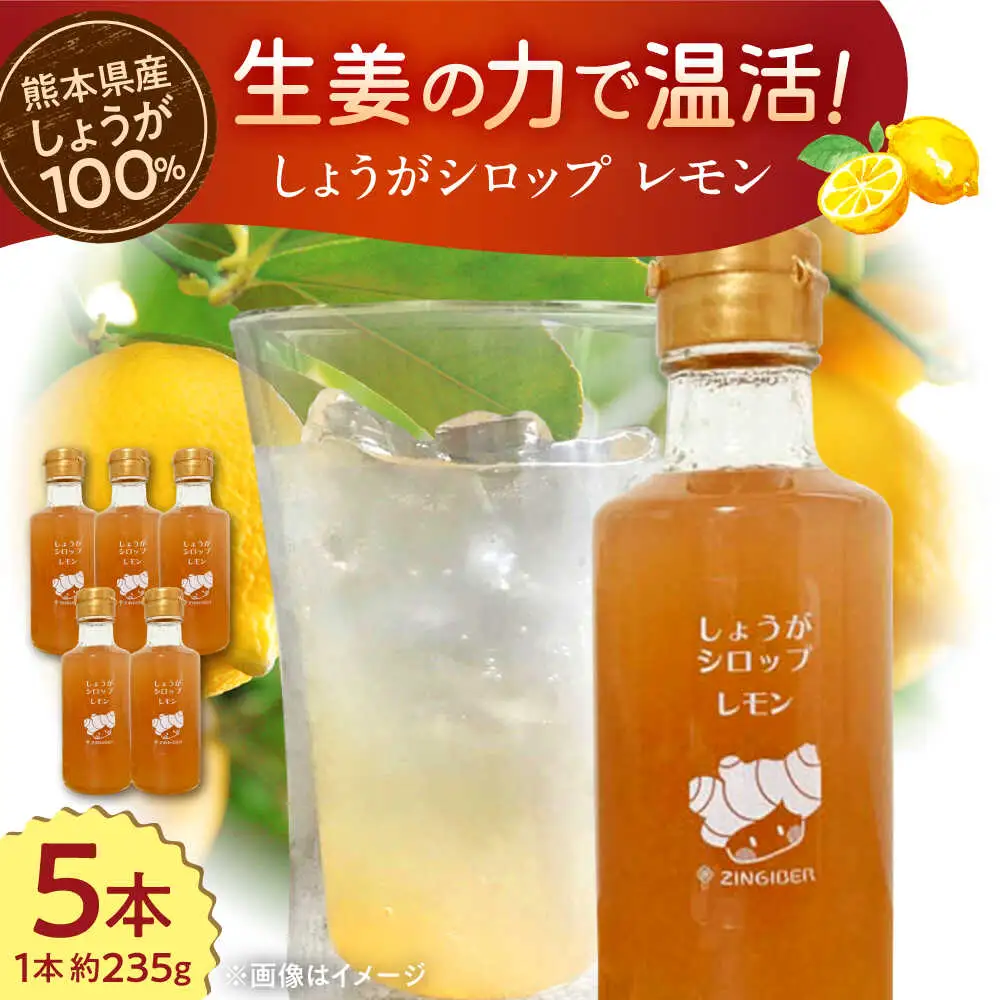 しょうがシロップ レモン 約235g×5本 セットシロップ[AYAD009]