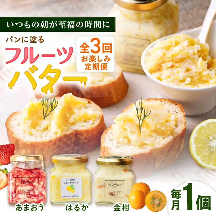 【全3回定期便】お楽しみ定期便 フルーツバター大1個 糸島市 / 糸島正キ ジャム クリーム 果物 [AQA062]
