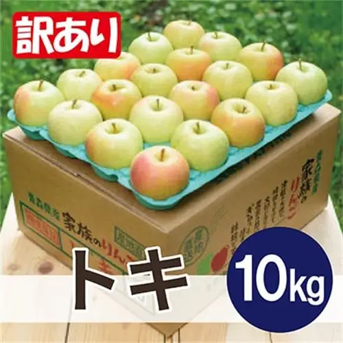 【26年10月～11月順次出荷予定】平均糖度13度以上! トキ 約10kg 訳あり　青森りんご_果物・フルーツ りんご  リンゴ 林檎_【配送不可地域：沖縄県】【1611810】