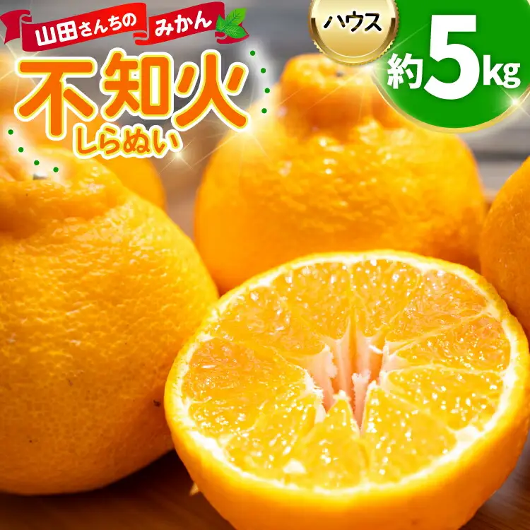 【期間限定発送】 みかん 山田さんちのハウス不知火(しらぬい) 約5kg