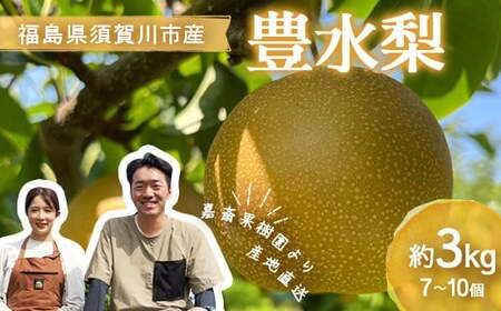＜先行受付＞ 嘉斎果樹園の梨「豊水」約3kg（7～10個） なし ナシ 梨 デザート フルーツ 果物 くだもの 果実 食品 F7X-0882