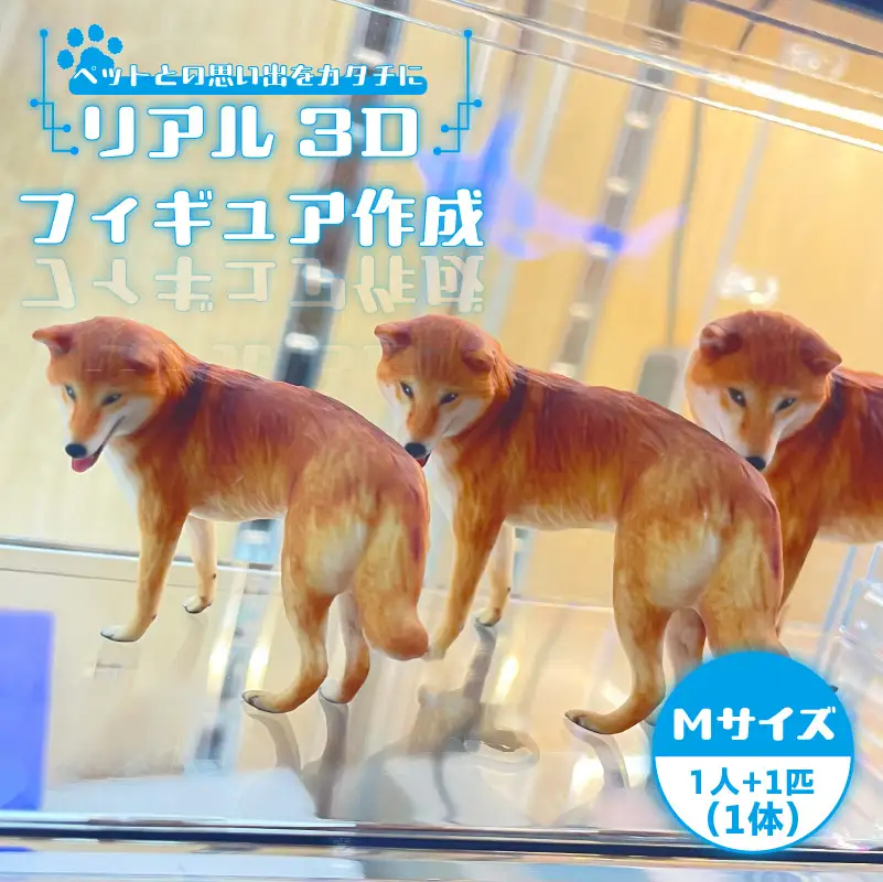 【寄附前に来社が必要な返礼品となります】ペットとの思い出をカタチに　リアル3Dフィギュア作成　Mサイズ【1人＋ペット1匹】 オーダーメイド 玩具 おもちゃ 記念 記念品 記念撮影 七五三 成人式 結婚式 妊娠 マタニティフォト 撮影 思い出 子供 家族 家族写真 カップル ペット 愛犬 愛猫 株式会社テルミック 愛知県 常滑市