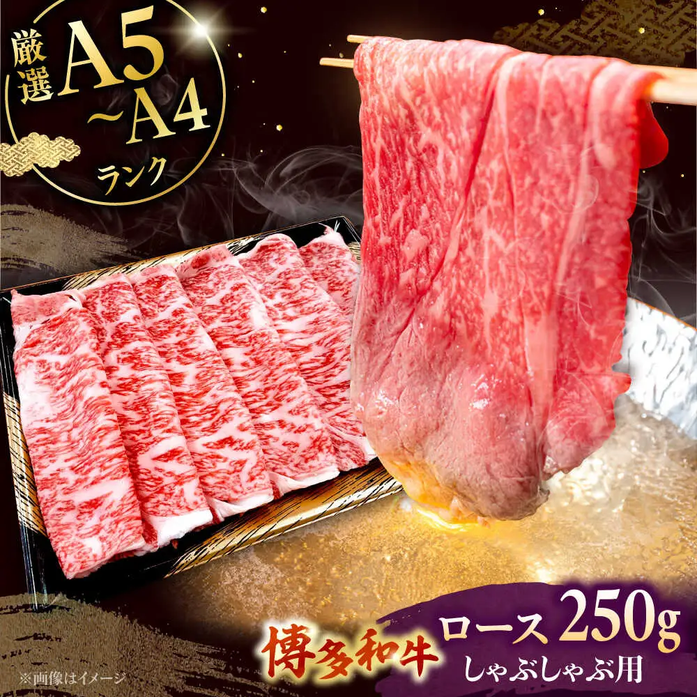 数量限定 博多和牛 ロース しゃぶしゃぶ用 250g [ADBZ041] 牛肉 赤身 国産